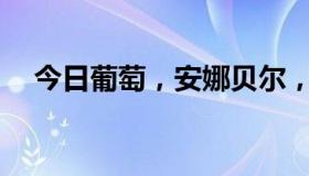 今日葡萄，安娜贝尔，刘，元宝谁漂亮？