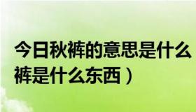 今日秋裤的意思是什么（穿秋裤是什么意思秋裤是什么东西）