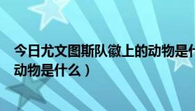 今日尤文图斯队徽上的动物是什么动物（尤文图斯队徽上的动物是什么）