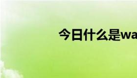 今日什么是wap浏览器？