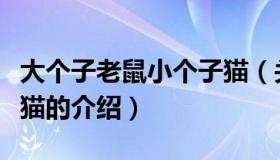 大个子老鼠小个子猫（关于大个子老鼠小个子猫的介绍）