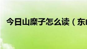 今日山糜子怎么读（东山的糜子糜的拼音）