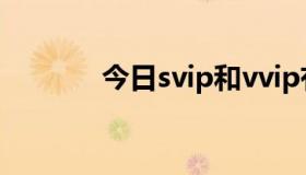 今日svip和vvip有什么区别？