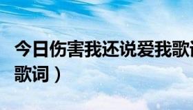 今日伤害我还说爱我歌词（伤了我还说爱我的歌词）