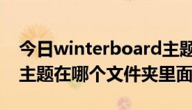 今日winterboard主题源（winterboard的主题在哪个文件夹里面）