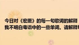 今日对《宏愿》的每一句歌词的解释，都是林写的一句话。我爱它，但我不明白粤语中的一些单词。请解释每一句歌词。谢谢你。