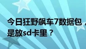 今日狂野飙车7数据包，不带sd卡能玩吗，还是放sd卡里？