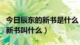 今日辰东的新书是什么（辰东新书什么时候出新书叫什么）