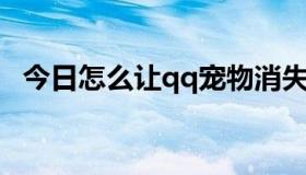 今日怎么让qq宠物消失（QQ宠物如何死）