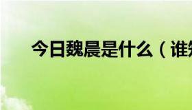 今日魏晨是什么（谁知道魏晨的资料）