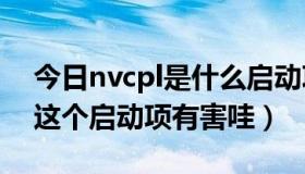 今日nvcpl是什么启动项（NvCpLDaemon这个启动项有害哇）