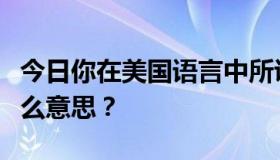 今日你在美国语言中所说的“攻击明年”是什么意思？