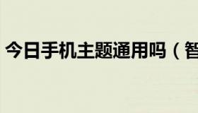 今日手机主题通用吗（智能手机能用主题吗）