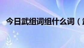 今日武组词组什么词（武组词有哪些词语）