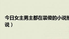 今日女主男主都在装傻的小说推荐（女主男主都在装傻的小说）