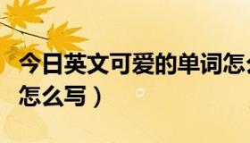 今日英文可爱的单词怎么写（可爱的英语单词怎么写）