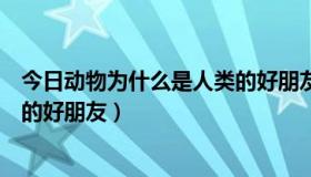 今日动物为什么是人类的好朋友举例子（动物为什么是人类的好朋友）