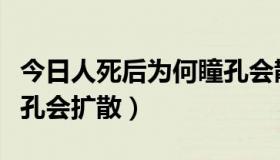 今日人死后为何瞳孔会散开（为什么人死后瞳孔会扩散）