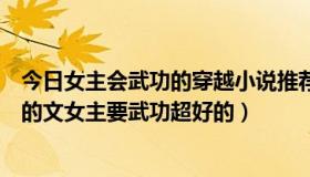 今日女主会武功的穿越小说推荐（求女主穿越进入武侠小说的文女主要武功超好的）