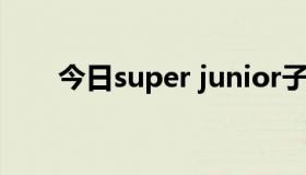 今日super junior子组合是什么意思