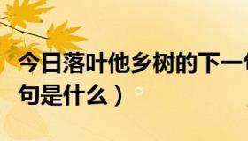 今日落叶他乡树的下一句（落叶他乡树的下一句是什么）