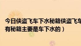 今日侠盗飞车下水秘籍侠盗飞车下水（侠盗飞车 城市风云所有秘籍主要是车下水的）