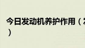 今日发动机养护作用（发动机养护剂效果如何）