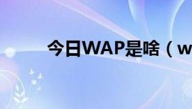 今日WAP是啥（wapQQ是什么）