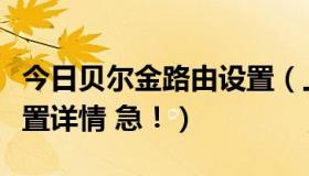 今日贝尔金路由设置（上海贝尔路由器怎样设置详情 急！）