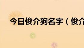 今日俊介狗名字（俊介是什么种类的狗）