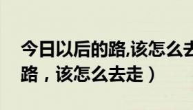 今日以后的路,该怎么去走是什么歌（以后的路，该怎么去走）