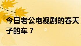 今日老公电视剧的春天，莫小丽开的是什么牌子的车？