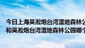 今日上海吴淞炮台湾湿地森林公园游玩攻略（滨江森林公园和吴淞炮台湾湿地森林公园哪个比较好玩）