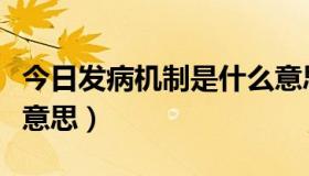 今日发病机制是什么意思啊（发病机制是什么意思）