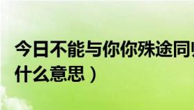 今日不能与你你殊途同归什么意思（殊途同归什么意思）