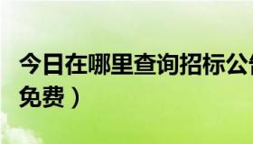 今日在哪里查询招标公告（招标信息在哪查询免费）