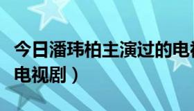 今日潘玮柏主演过的电视剧（潘玮柏演过哪些电视剧）