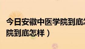 今日安徽中医学院到底怎样就业（安徽中医学院到底怎样）