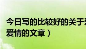 今日写的比较好的关于爱情的文章（谁有关于爱情的文章）