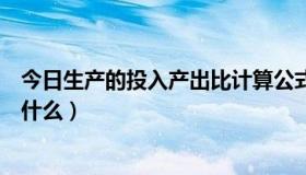 今日生产的投入产出比计算公式（投入产出比怎么算公式是什么）