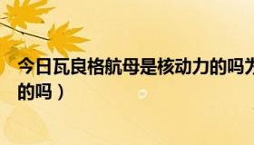 今日瓦良格航母是核动力的吗为什么（瓦良格航母是核动力的吗）