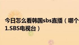 今日怎么看韩国sbs直播（哪个网站能直播看韩国MBC.KBS1.SBS电视台）