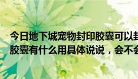 今日地下城宠物封印胶囊可以封什么宠物（地下城宠物封印胶囊有什么用具体说说，会不会开出宠物来）