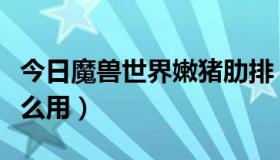 今日魔兽世界嫩猪肋排（魔兽世界龙肋排有什么用）