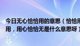 今日无心恰恰用的意思（恰恰用心时，恰恰无心用无心恰恰用，用心恰恰无是什么意思呀）