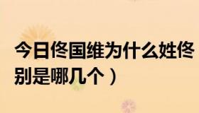 今日佟国维为什么姓佟（佟国维有几个子女分别是哪几个）