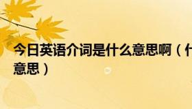 今日英语介词是什么意思啊（什么是介词英语是介词是什么意思）