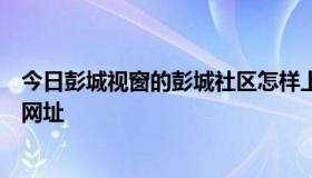 今日彭城视窗的彭城社区怎样上传照片的，怎么样输入照片网址