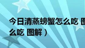 今日清蒸螃蟹怎么吃 图解视频（清蒸螃蟹怎么吃 图解）