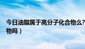 今日油脂属于高分子化合物么?为何?（油脂属于高分子化合物吗）